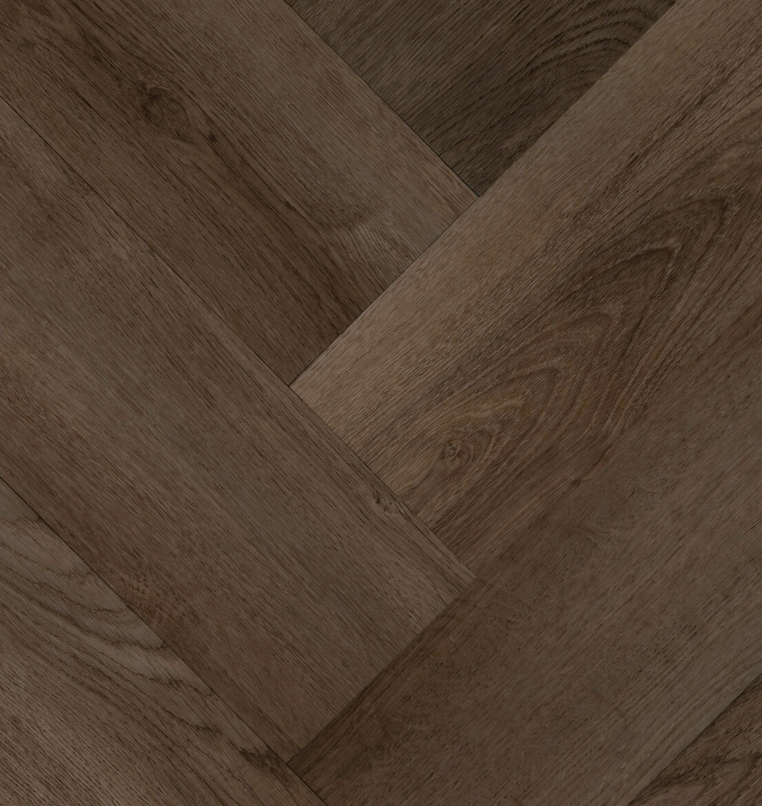 Clermont Visgraat XL 57827 | Hebeta